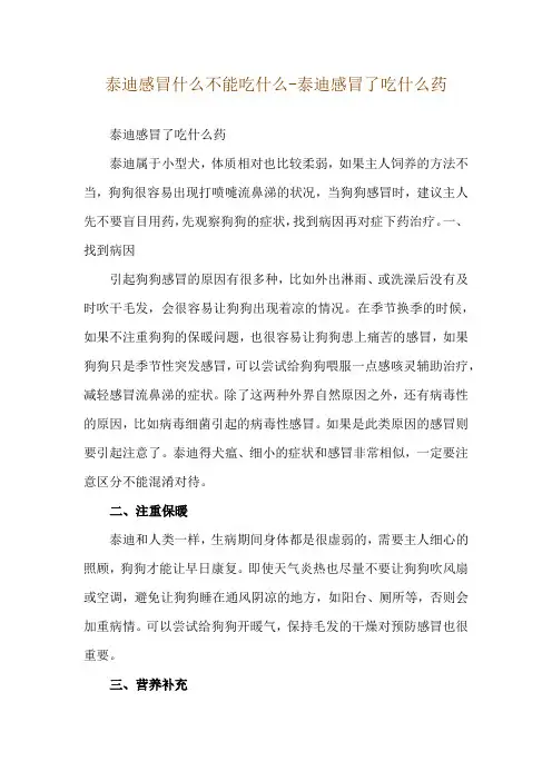 泰迪感冒什么不能吃什么-泰迪感冒了吃什么药