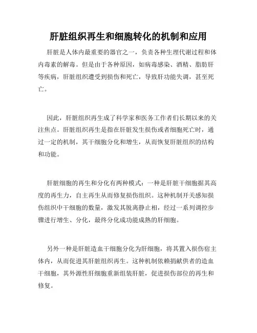 肝脏组织再生和细胞转化的机制和应用