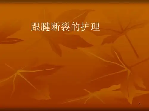 跟腱断裂的护理ppt课件