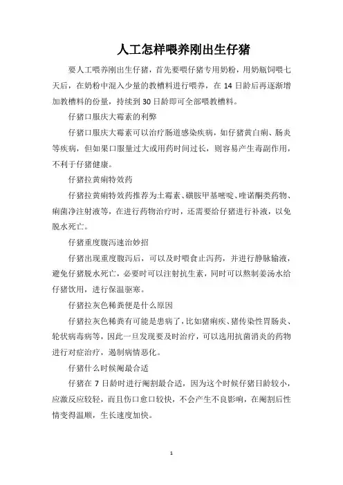 人工怎样喂养刚出生仔猪