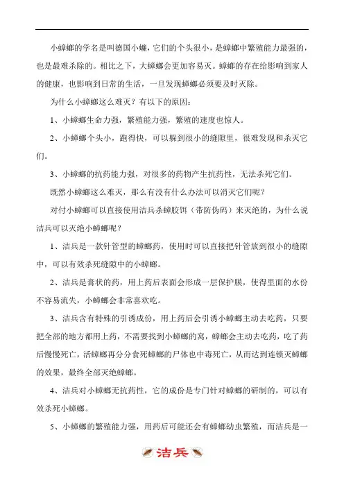 家里有小蟑螂怎么消灭