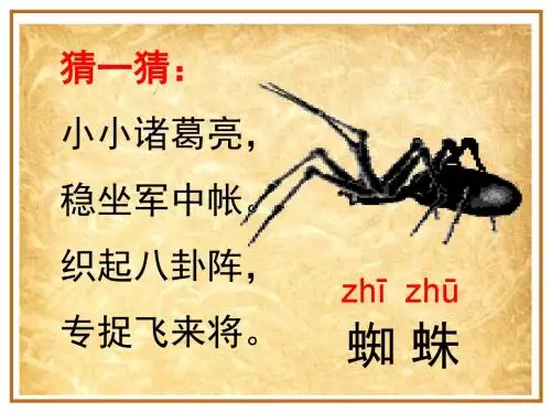 鄂教版二下15.《将军和蜘蛛》