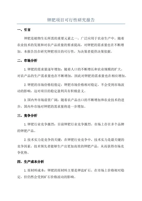 钾肥项目可行性研究报告