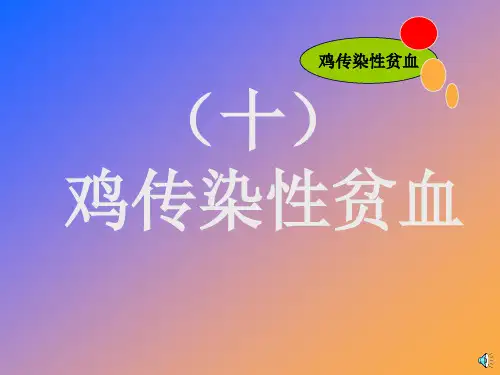 10鸡传染性贫血