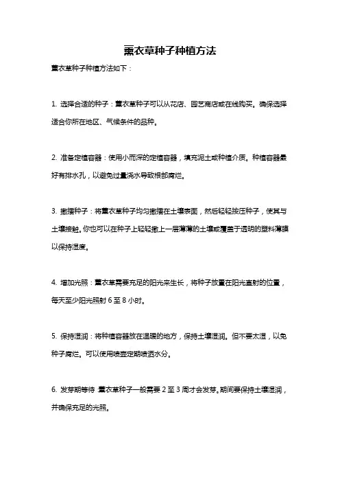 薰衣草种子种植方法