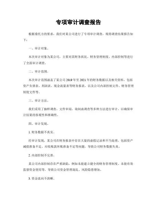 专项审计调查报告