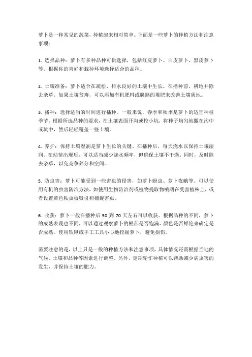 萝卜种植方法和注意事项