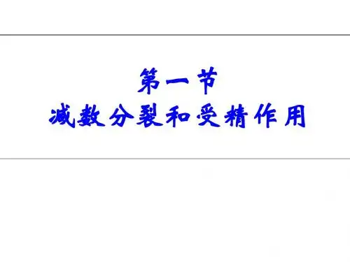 生物：21减数分裂和受精作用-精品课件新人教版必修2