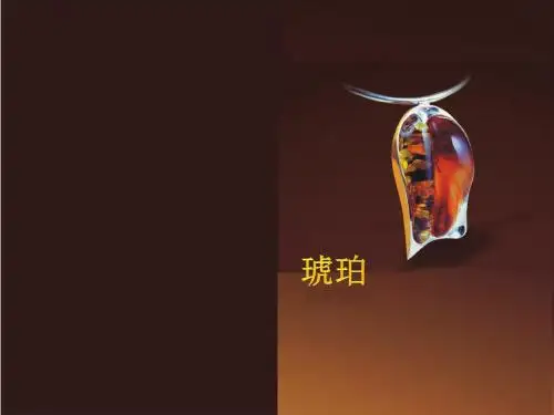 琥珀营销PPT琥珀介绍