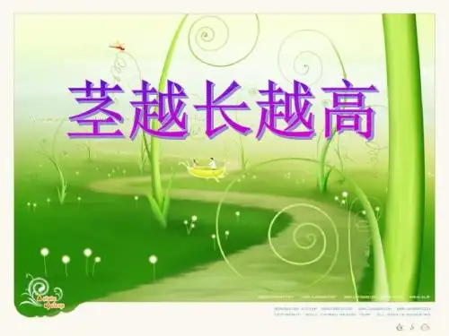 《茎越长越高》植物的生长变化PPT课件 (共27张PPT)