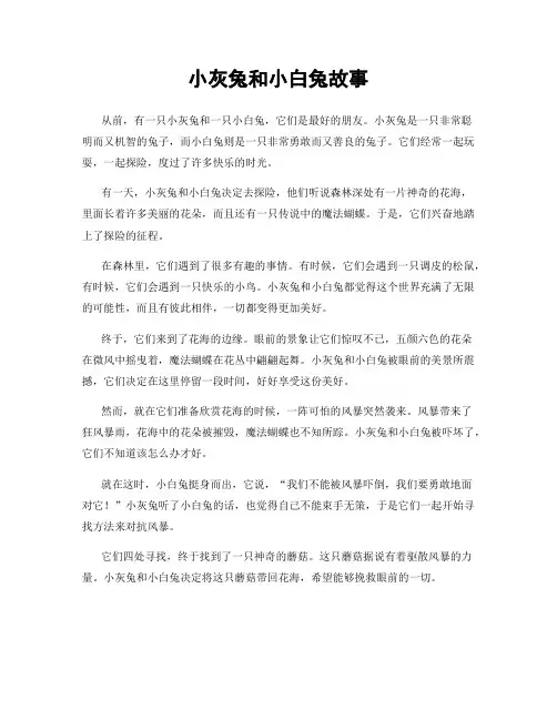 小灰兔和小白兔故事