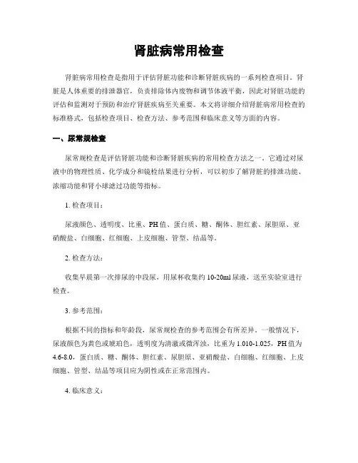 肾脏病常用检查
