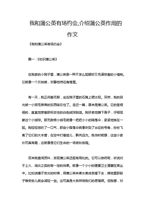 我和蒲公英有场约会,介绍蒲公英作用的作文
