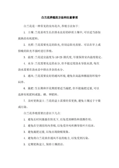 白兰花养殖的方法和注意事项