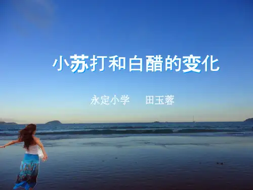 六年级下册《小苏打和白醋的变化》说课