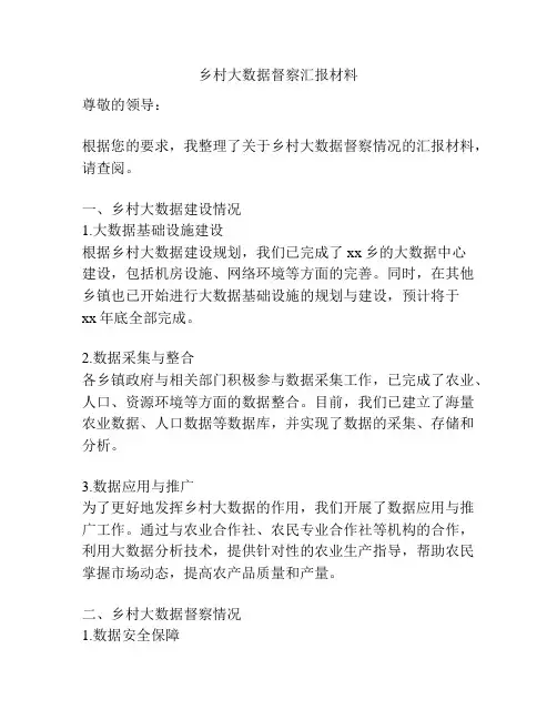 乡村大数据督察汇报材料