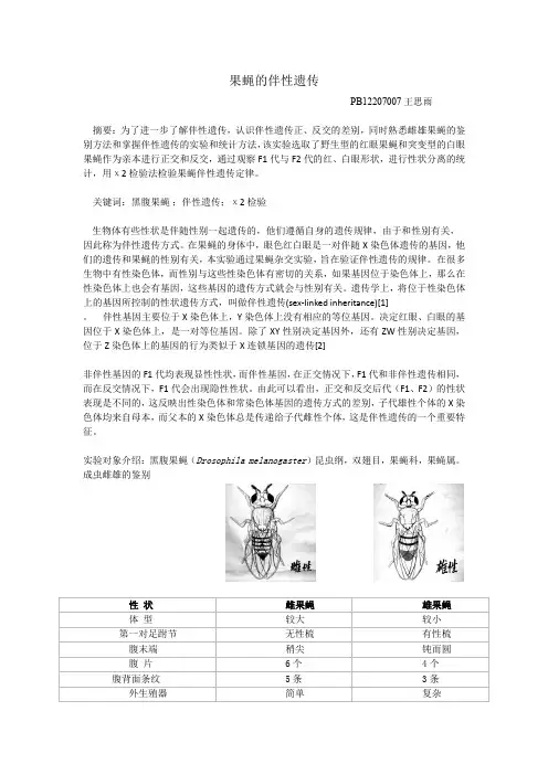 果蝇的伴性遗传