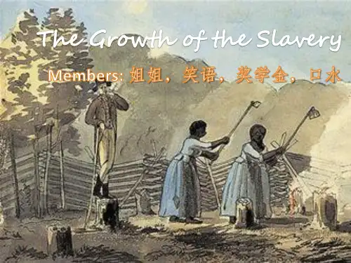 【美国历史】美国奴隶制的兴衰 the growth of slavery