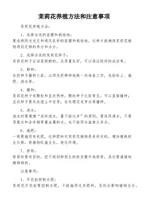 茉莉花养殖方法和注意事项
