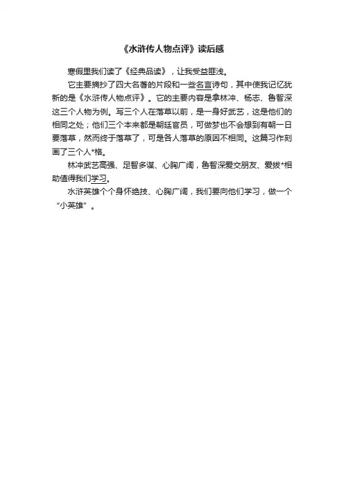 《水浒传人物点评》读后感