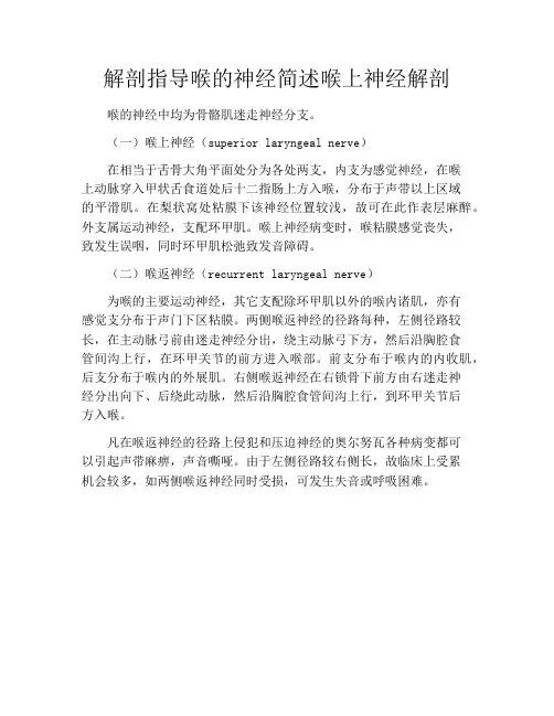 解剖指导喉的神经简述喉上神经解剖