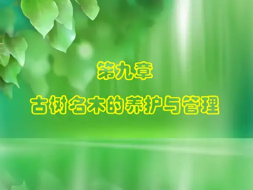 古树名木的养护与管理PPT课件
