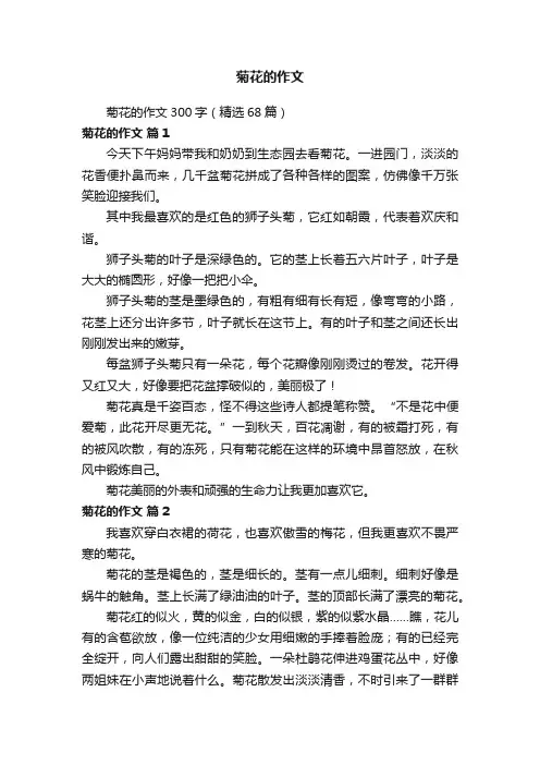 菊花的作文300字（精选68篇）