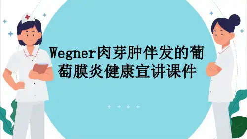 Wegner肉芽肿伴发的葡萄膜炎健康宣讲课件