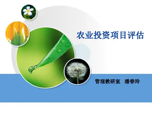 农业项目评估课件1-3.