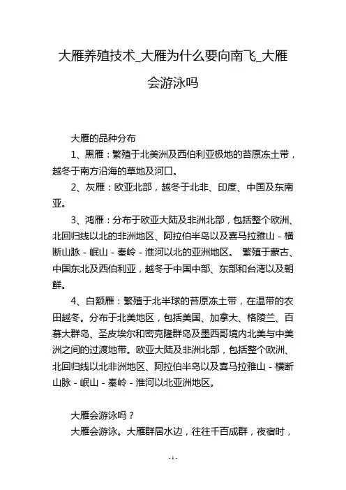 大雁养殖技术_大雁为什么要向南飞_大雁会游泳吗