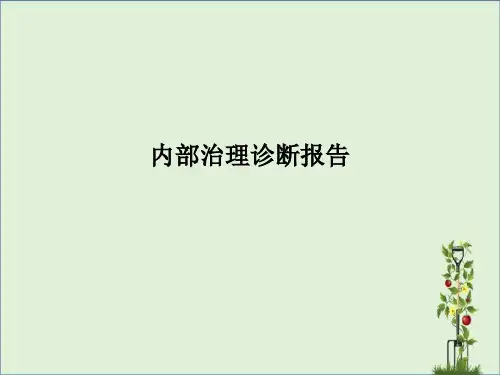 内部管理诊断报告(PPT-74页)