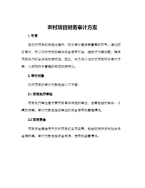 农村项目财务审计方案