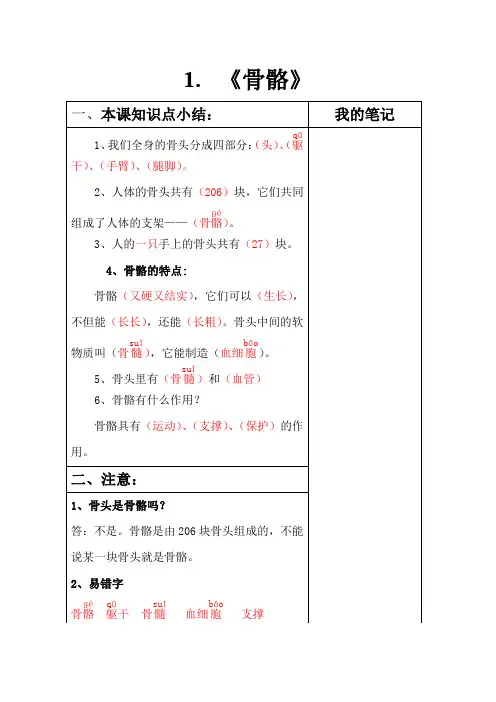 小学科学_苏教版_四年级下册_第一单元 骨骼与肌肉_1.骨骼知识点总结.docx