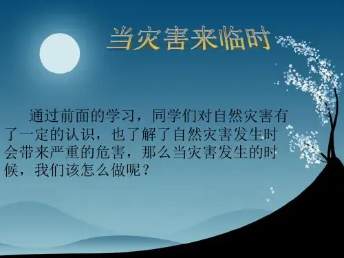 当灾难来临时