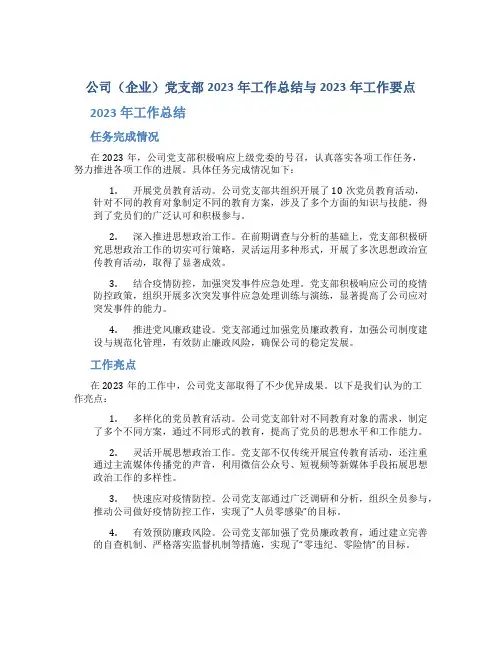 公司(企业)党支部2023年工作总结与2023年工作要点