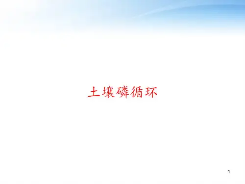 土壤磷循环 ppt课件