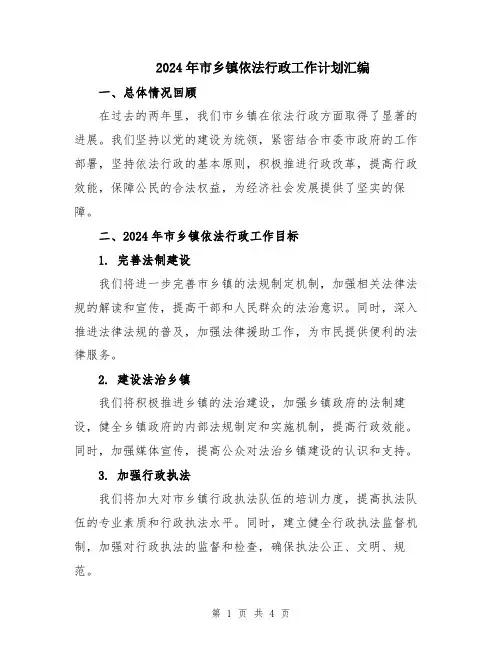 2024年市乡镇依法行政工作计划汇编