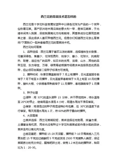 西兰花的育苗技术是怎样的
