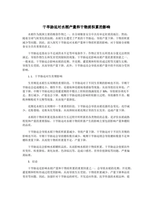 干旱胁迫对水稻产量和干物质积累的影响