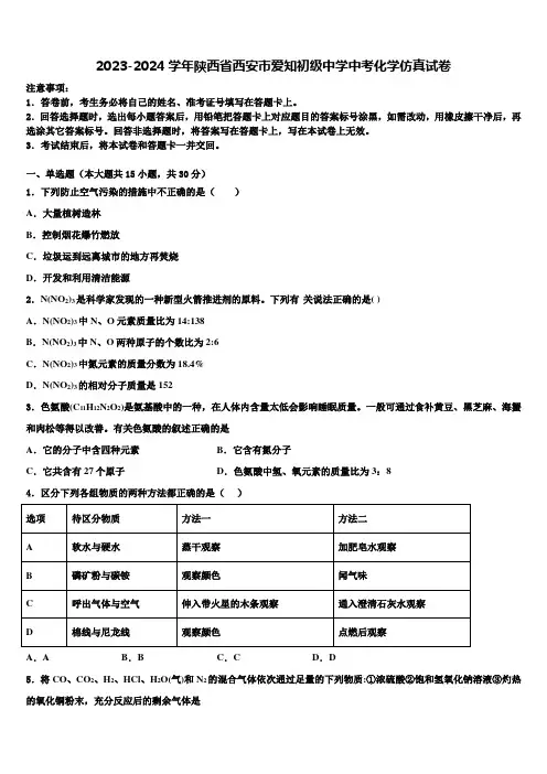 2023-2024学年陕西省西安市爱知初级中学中考化学仿真试卷含解析