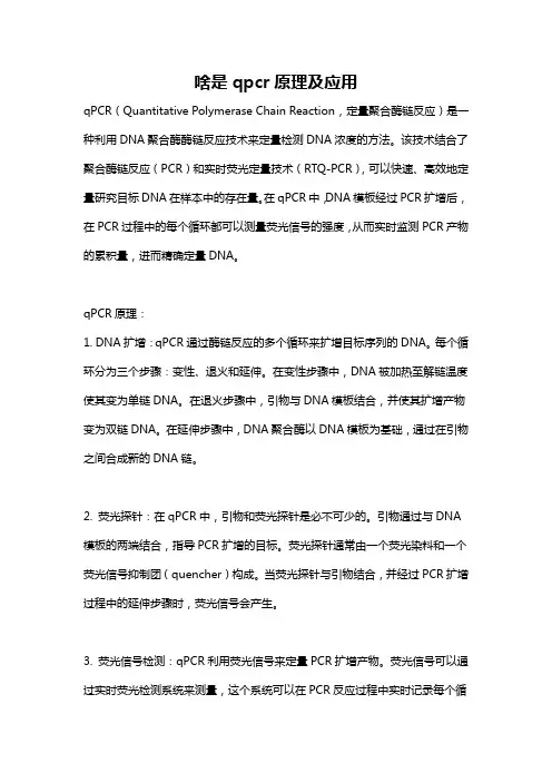 啥是qpcr原理及应用