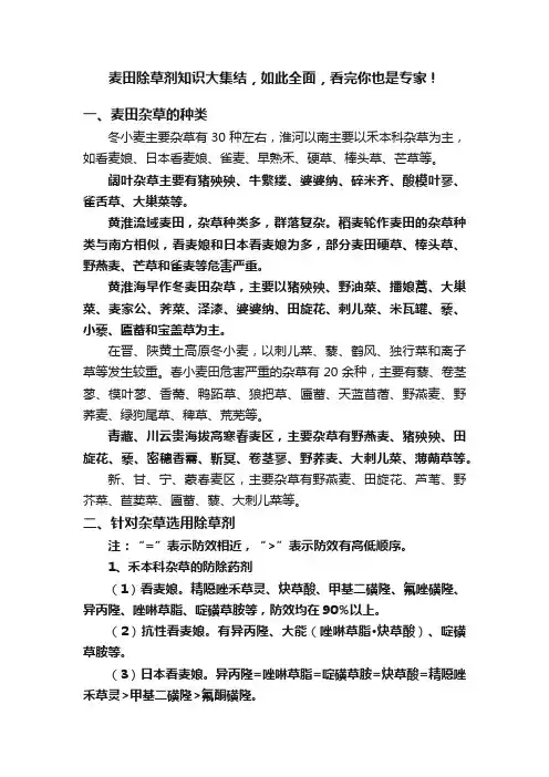 麦田除草剂知识大集结，如此全面，看完你也是专家！