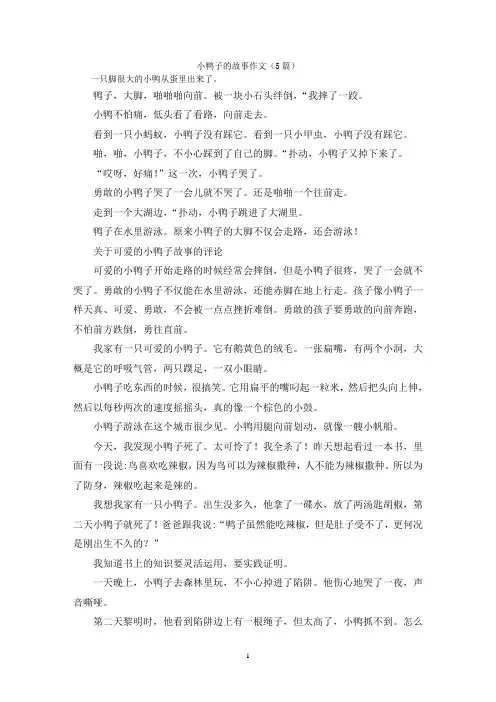 小鸭子的故事作文(5篇)