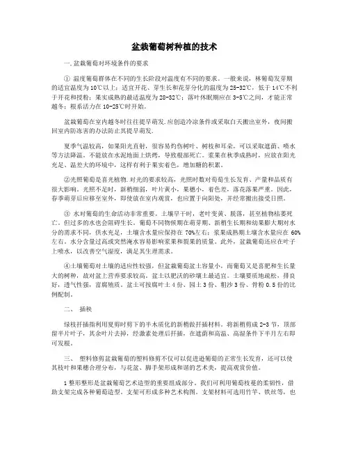 盆栽葡萄树种植的技术