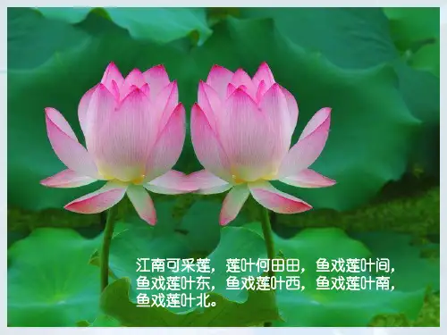 新人教版八年级地理下册第七章南方地区第一节自然特征与农业.ppt1PPT课件