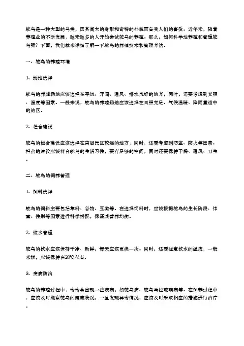 鸵鸟的养殖技术与管理