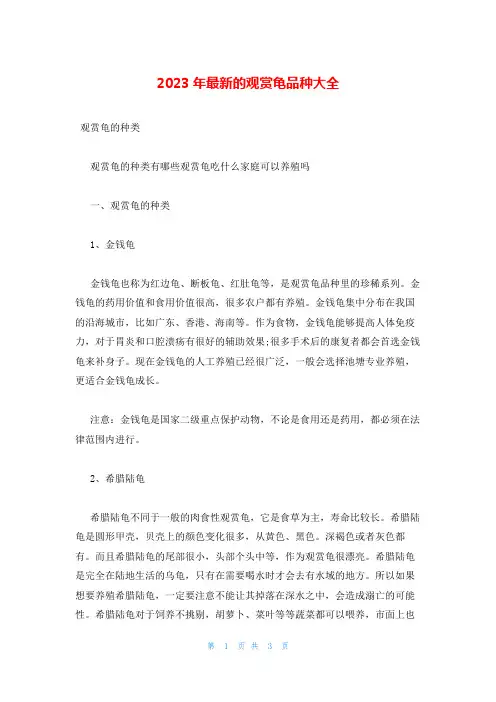 2023年最新的观赏龟品种大全