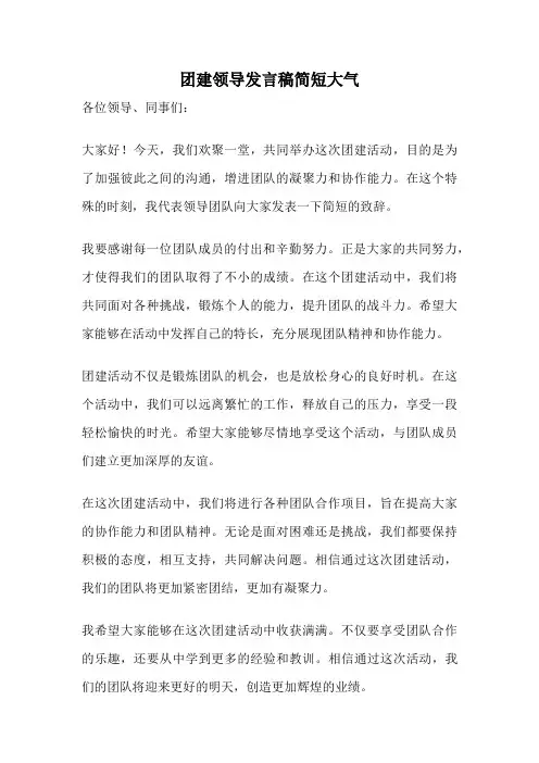 团建领导发言稿简短大气