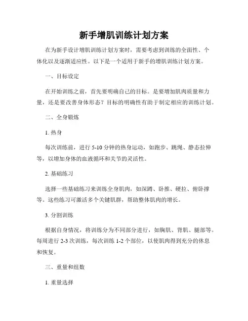 新手增肌训练计划方案