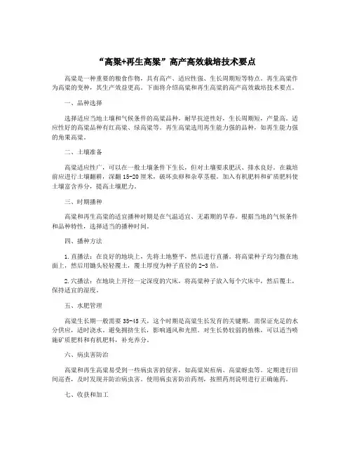“高粱+再生高粱”高产高效栽培技术要点